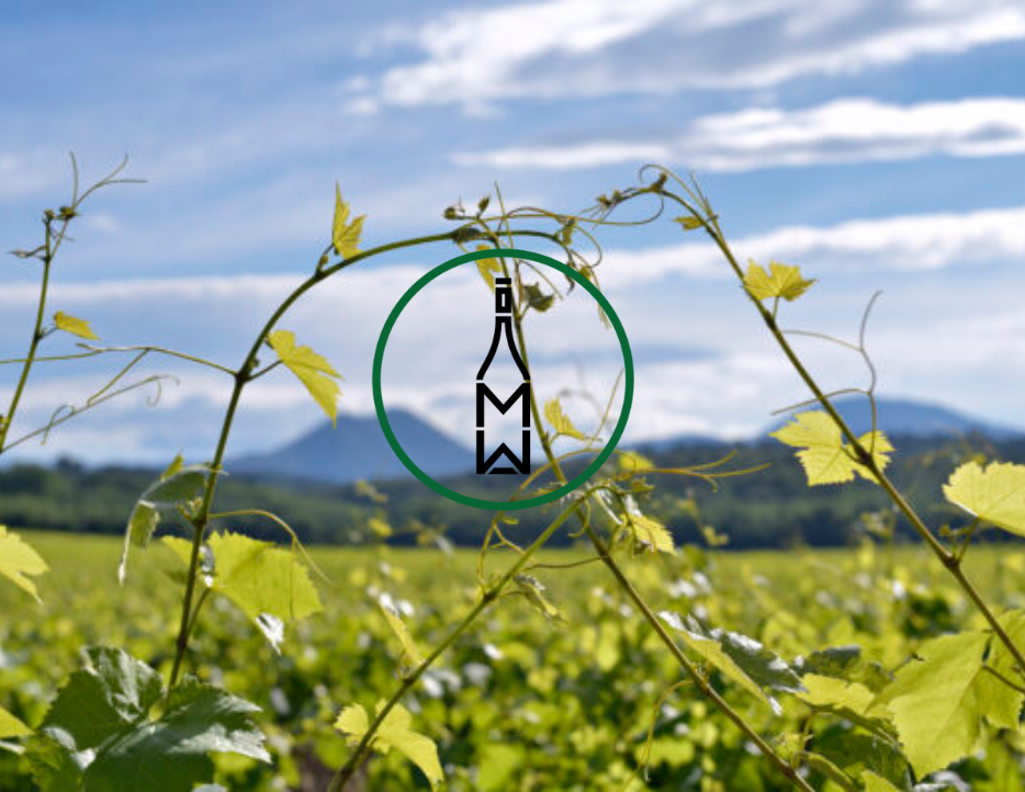 🌸 30.03.2026 - Frühlingsweinprobe