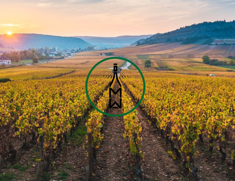 🇫🇷 23.02.2026 - Best of Frankreich