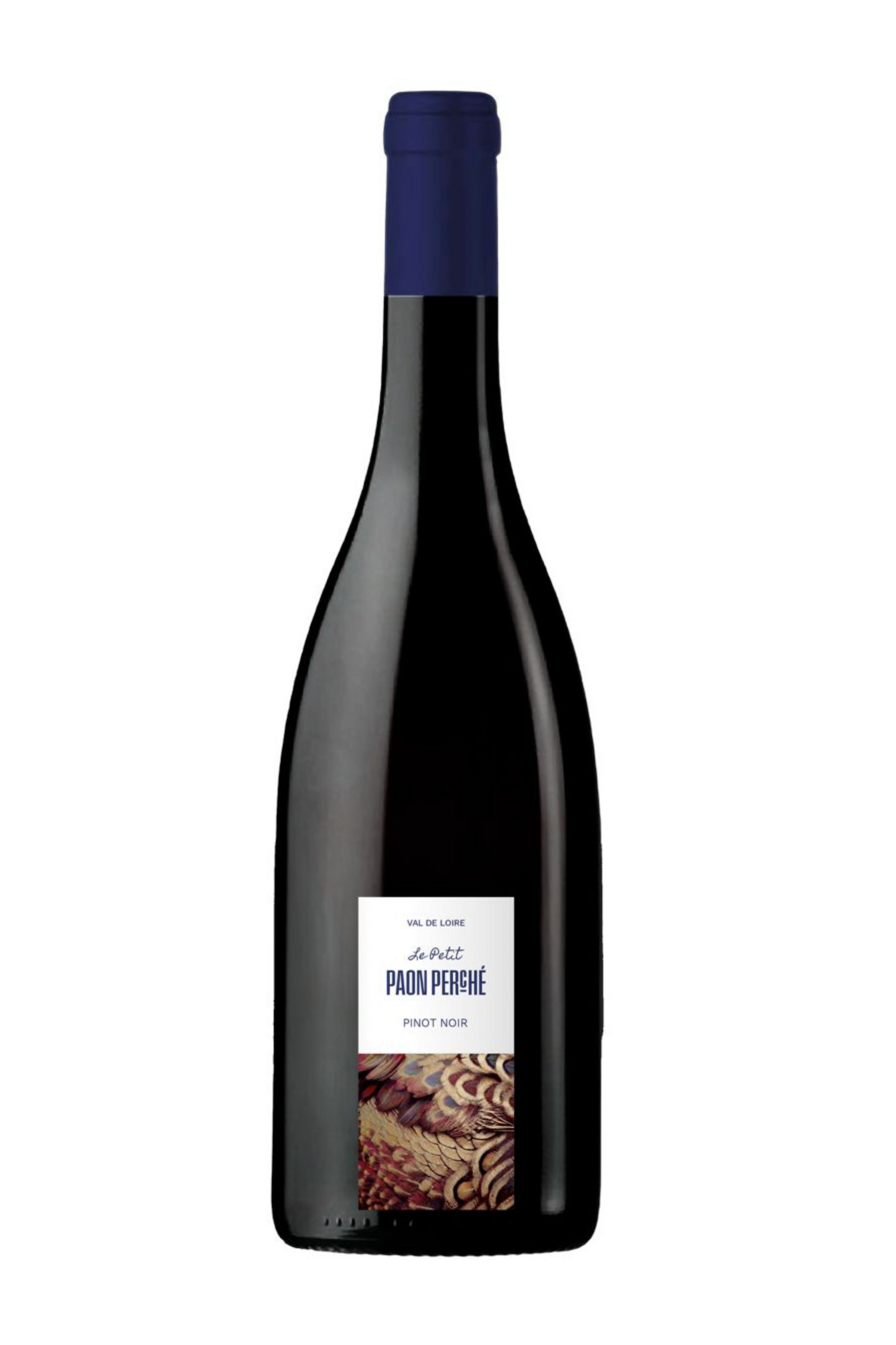 Petit Paon Perché rot