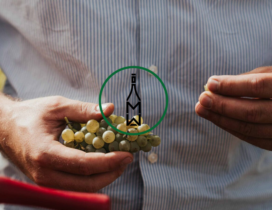 🍇 15.03.2026 - ProWein Winzerabend