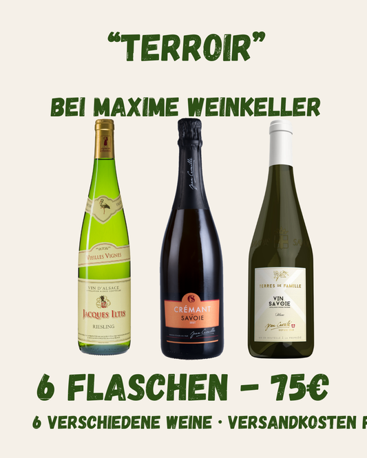 Weinpaket "Terroir"