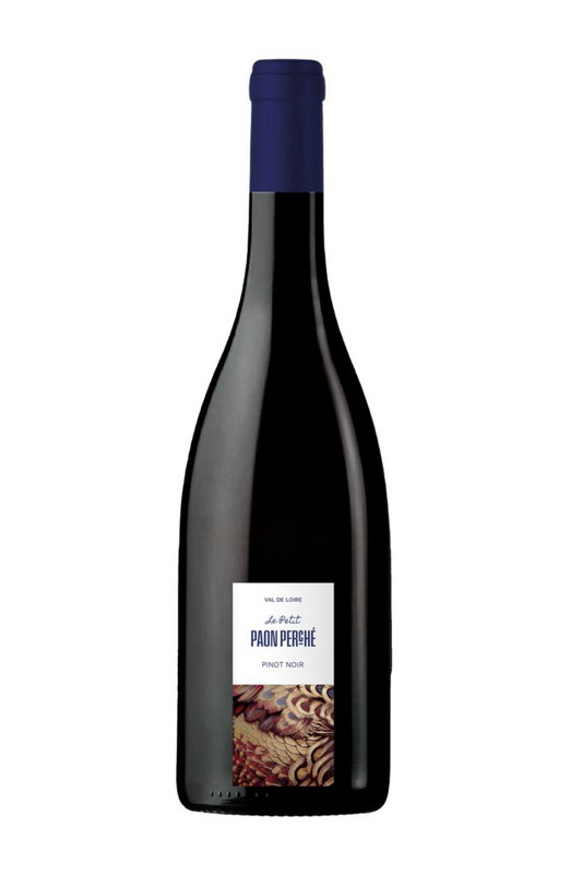 Petit Paon Perché rot